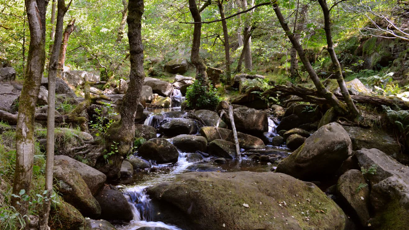 Casual Walking Society - Padley Gorge Walk