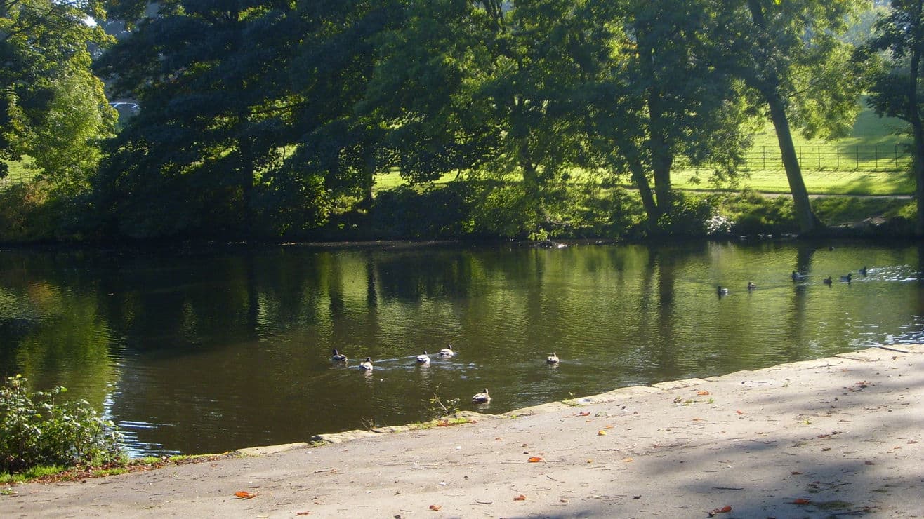 Casual Walking Society - Graves Park Walk